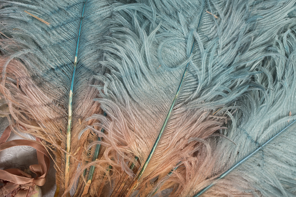 Willard Suitcases Project
Madeline C