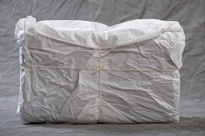 Freda B Willard Suitcase