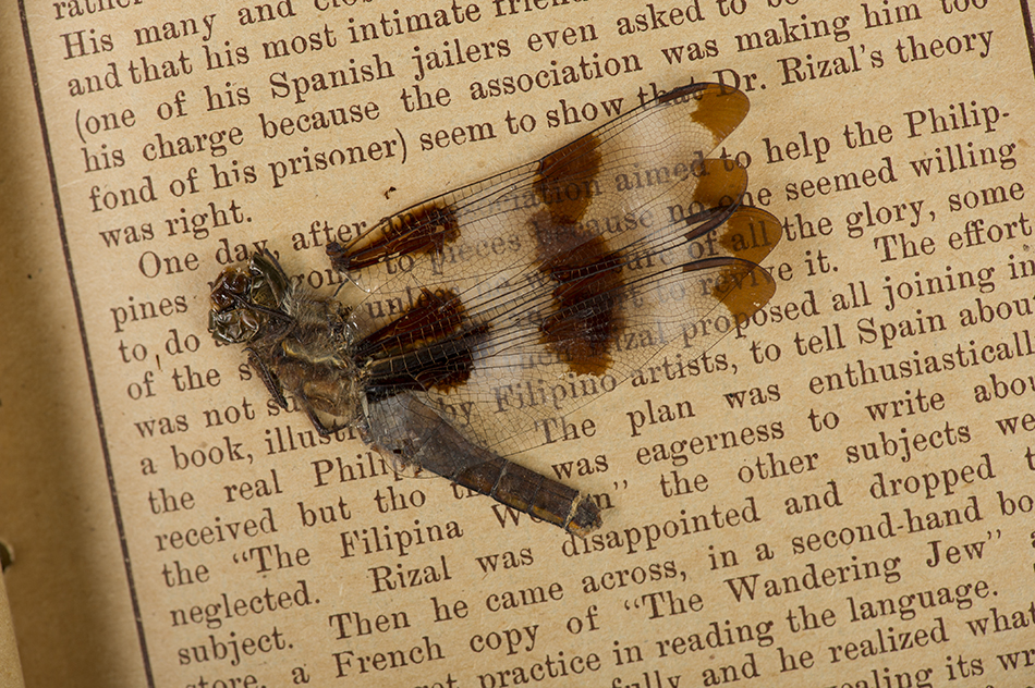 Willard Suitcases
Rodrigo L.