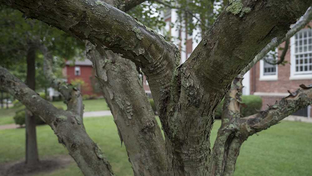 Meadville Trip with Peter September 2018